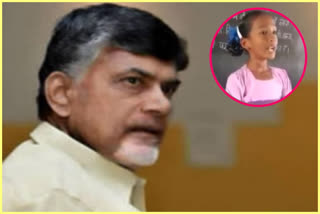 tdp leader chandrababu