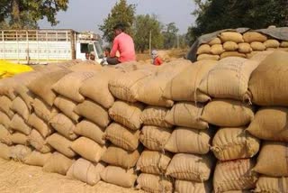 paddy procurement corruption