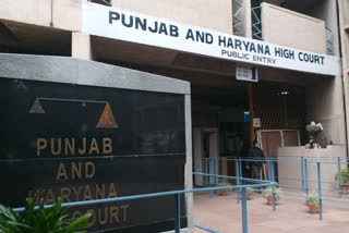 punjab haryana highcourt