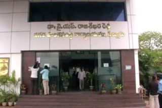 Disciplinary action against Nellore Municipal Corporation and three other municipal staff