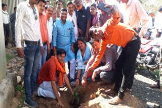 Birthday of CM celebrated by planting saplings