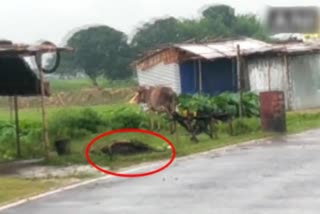 Nepal police fire on Indian's who are crossed border enter in Nepal