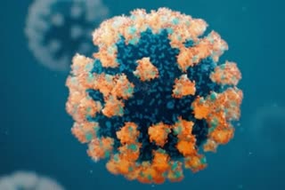 Coronavirus cases daily update in India