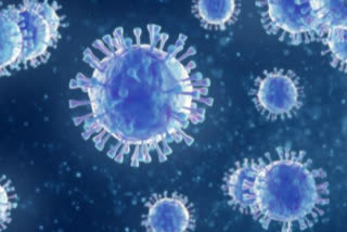 coronavirus update america: more than 5.22 million death