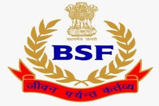 BSF kills Pak intruder along IB in Rajasthan