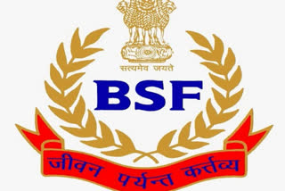 BSF