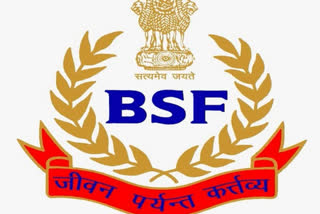 Pak intruder killed by BSF along international border in Rajasthan