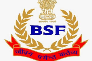 Pak intruder killed by BSF along international border in Rajasthan  Pak intruder  BSF  international border Rajasthan,  Pak intruder killed by BSF,  international border in Rajasthan,  ഇന്ത്യയിലേക്ക് നുഴഞ്ഞുകയറാൻ ശ്രമം; പാക് ഭീകരനെ സുരക്ഷാ സേന വെടിവെച്ച് കൊന്നു,  ഇന്ത്യയിലേക്ക് നുഴഞ്ഞുകയറാൻ ശ്രമം,  പാക് ഭീകരനെ സുരക്ഷാ സേന വെടിവെച്ച് കൊന്നു,  നുഴഞ്ഞുകയറ്റ ശ്രമം,  പാക് ഭീകരന്‍,  സുരക്ഷാ സേന,  വെടിവെച്ച് കൊന്നു,