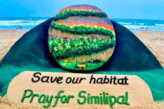 Sudarsan Pattnaik creates sand art to pray for Similipal forest fire