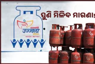 3 Free LPG Cylinders Likely Again For Ujjawala Subscribers
