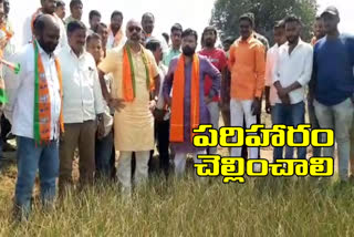 MP dharmapuri arvind visited dry paddy fields babapur village at bheemgal mandal in nizamabad district