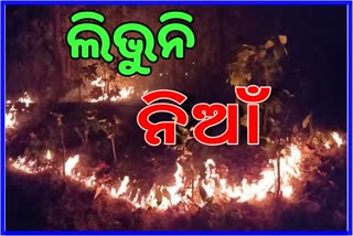 ଅଣାୟତ୍ତ ଶିମିଳିପାଳ ନିଆଁ: ରାଜ୍ୟ ସରକାରଙ୍କୁ ଦାୟୀକଲେ ବିଧାୟକ