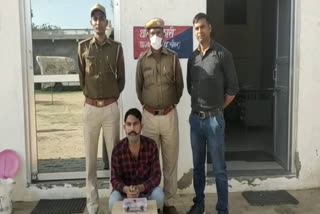 सीकर में पिस्टल और जिंदा कारतूस बरामद, Pistol and live cartridge recovered in Sikar