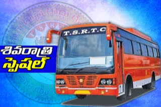 special buses for mahashivaratri