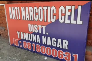 Drug smuggler arrested yamunanagar