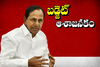 cm kcr on telangana budget