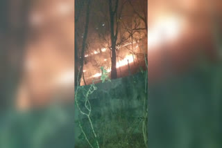 bushes of pahari mandir caught fire in ranchi