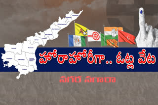 ap municipal polls