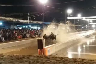 Modern touch to desi Kambala