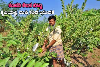 ಕೃಷಿಯಲ್ಲಿ ಆದಾಯ ಗಳಿಸಿ ಲಕ್ಷಾಧೀಶನಾದ ಯುವ ರೈತ