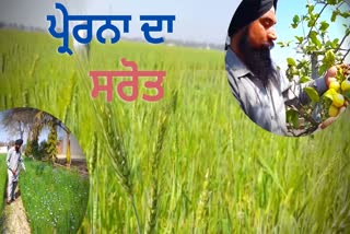 ਵੇਖੋ ਵੀਡੀਓ