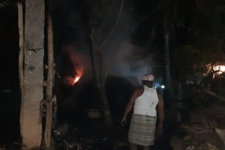 Accidental fire to cowshed in Nelamangala