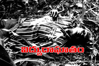 Farmer dies of electric shock  in Karimnagar district