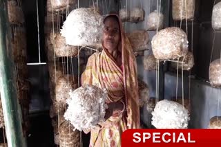 Meera of Sahibganj became self-sufficient by cultivating mushroom