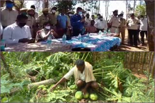 ಕಾಡಾನೆಗಳ ಹಾವಳಿಗೆ ನಲುಗಿ ಹೋದ ಬಂಗಾರಪೇಟೆ ಜನ