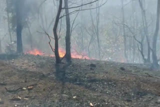 satpuda mountain fire news