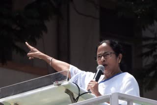Mamata holds 'padayatra' in Siliguri to protest LPG price hike
