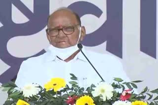 Sharad Pawar in Ranchi