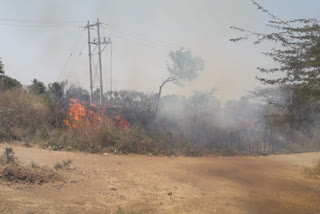 vijayapura-hescom-ignores-fire-on-corn-stalk