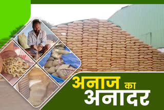 thousands of quintals of paddy are kept in the open in giridih