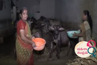 haveri women doing Dairying successfully