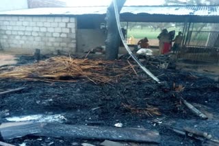 सीकर हिंदी न्यूज  fire caught in house in Sikar