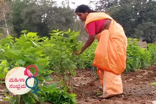 parvati mahadeva achievement in Integrated farming