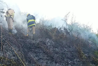 wildfire near Coonoor  Nilgiri Wildfire  Fire service extinguished the wildfire near coonoor in 2 hours  Nilgiri Latest  coonoor  குன்னூர் அருகே காட்டுத்தீ  நீலகிரி காட்டுத்தீ  நீலகிரி மாவட்டச்செய்திகள்  குன்னூர்