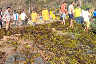 Social workers cleaned the Satpura reservoir