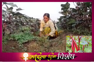 successful experiment of red okra by women in kolhapur