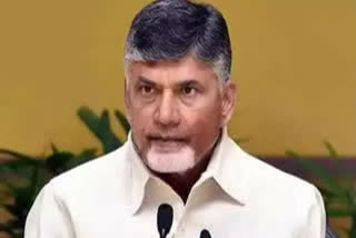 chandrababu condemn attack on tdp leader at vishakapatanam