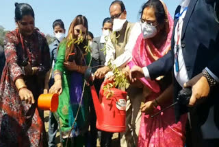 CM Shivraj planted trees with women in bhopal