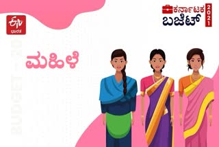 Karnataka Statee Budget on Woman