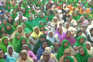 Women from Punjab and Haryana join protesting farmers in Tikri on the Delhi-Haryana border