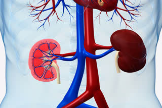 increase-in-the-number-of-kidney-patients-in-bastar