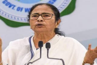 mamta