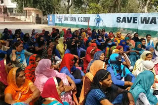 Asha workers performed Fatehabad