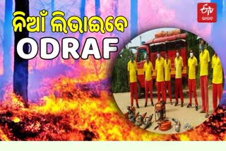 Odraf team to be  deplyed in forest fire