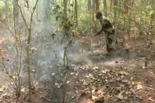 Similipal Fire: Baripada DFO Cancels Staff Leaves, Warns Of Immediate Arrest For Setting Forest Ablaze