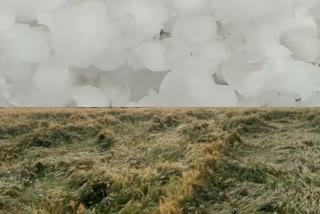 ओलावृष्टि  भरतपुर में ओलावृष्टि  रवि की फसल  भरतपुर न्यूज  Hailstorm in Bharatpur  Hail  Bharatpur Weather